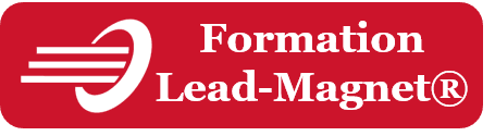 Formation commerciale B2B Lead-Magnet de Team Link