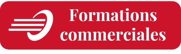 Formations commerciales B2B Team Link