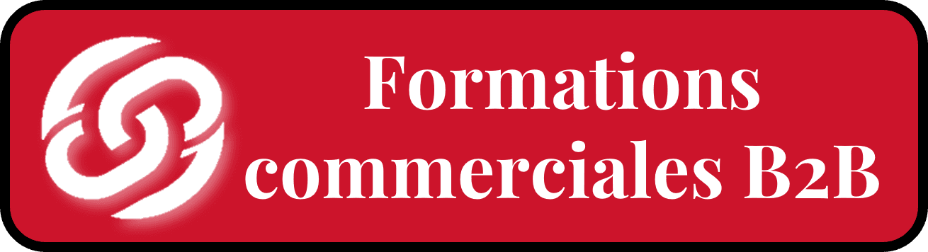 Formations commerciales B2B Team Link