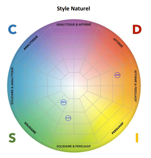 Visuel d'un rapport d'équipe de la méthode DISC - les 4 couleurs du DISC