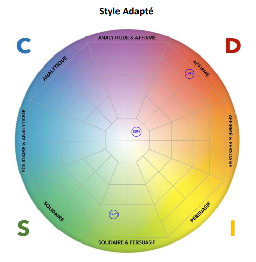 Rapport DISC manager pour son équipe. Style comportemental adapté