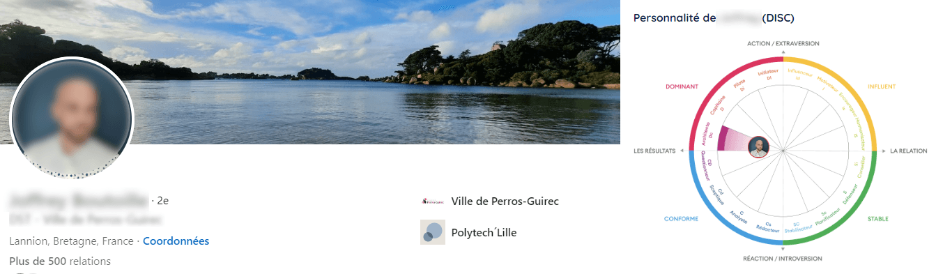 Exemple d'un profil DISC détecté par HumanLinker sur LinkedIn